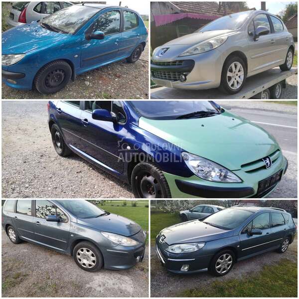 Alternator za Pezo vozila za Peugeot 206, 308, 207 ...