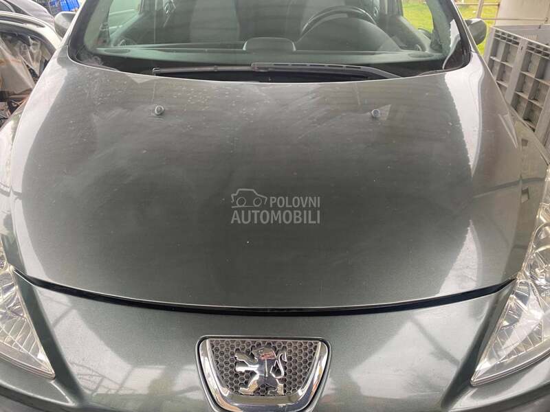 Hauba za Peugeot 307