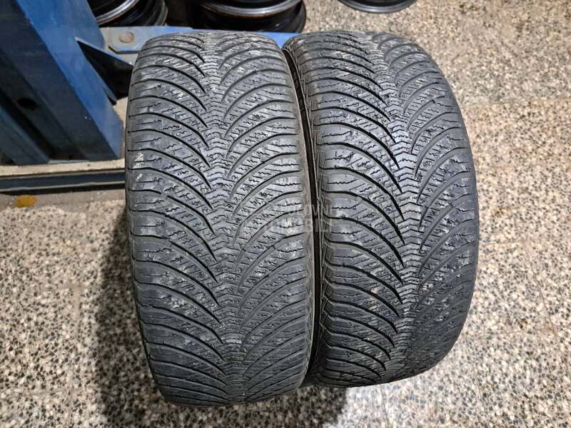 Goodyear 205/55 R16 Sve sezone