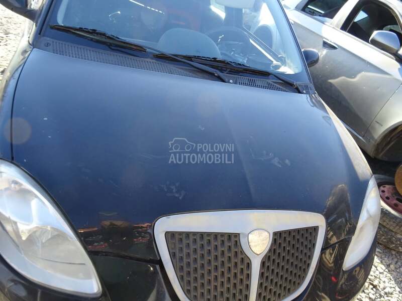Delovi za Lancia Ypsilon 2011 2003. god.