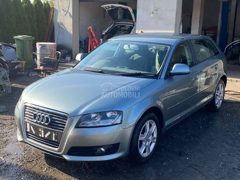 EGR i DPF 1.6 i 2.0TDI za Audi A3 od 2008. do 2012. god.