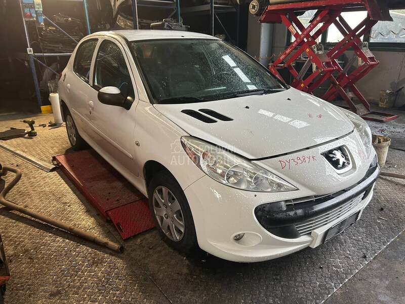 Levi i desni far za Peugeot 206 plus od 2006. do 2010. god.
