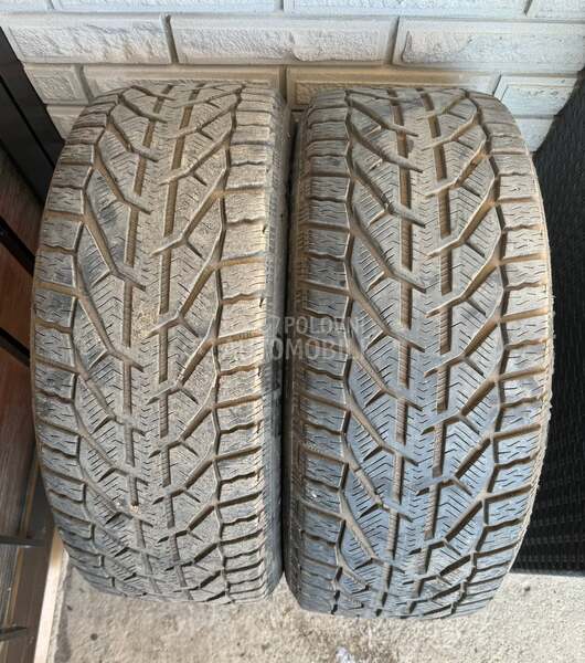 Riken 225/45 R17 Zimska