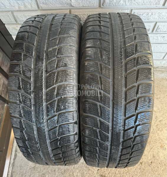 Michelin 195/55 R16 Zimska