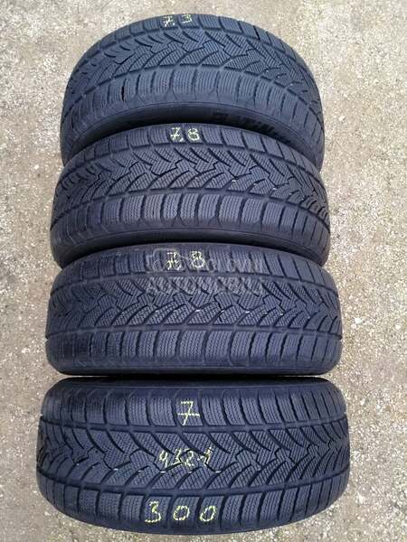 Platin Germany 225/55 R17 Zimska