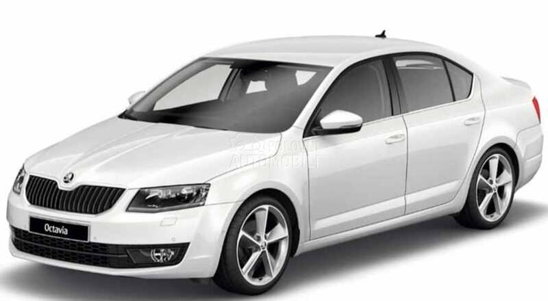 ZADNJI AMORTIZERI I OPRUGE za Škoda Octavia od 2013. do 2017. god.
