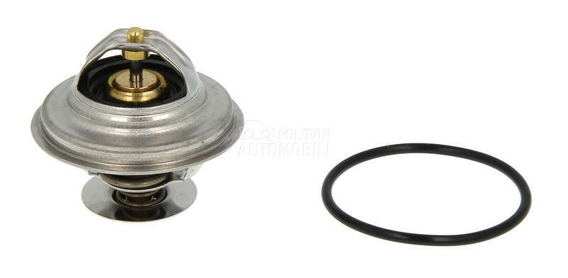 Termostat za Audi A6 od 1997. do 2005. god.