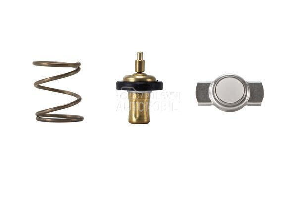 Termostat za Renault Talisman od 2016. do 2022. god. - 110602770R