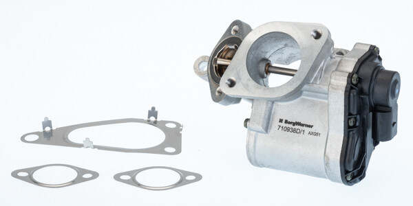 EGR Ventil WAHLER za Renault Grand Scenic od 2006. do 2008. god.