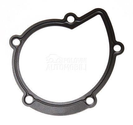 Dihtung pumpe za vodu za Ford C-Max od 2013. do 2014. god.
