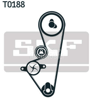 Veliki servis SKF za Renault C2 od 2003. do 2012. god.