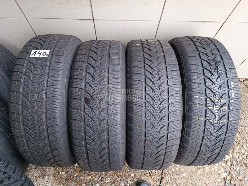 Platin Germany 205/60 R16 Zimska