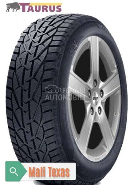 Taurus 205/45 R17 Zimska