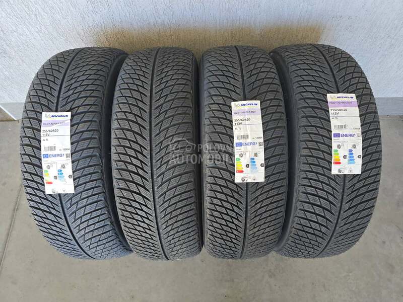 Michelin 255/60 R20 Zimska