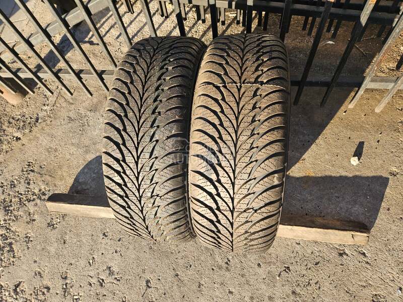 Goodyear 185/55 R15 Sve sezone