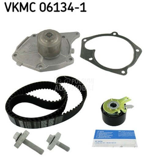 Veliki servis sa pumpom SKF za Renault Scenic od 2003. do 2009. god.