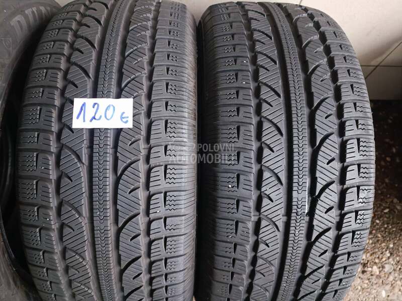 Cooper 225/50 R17 Zimska
