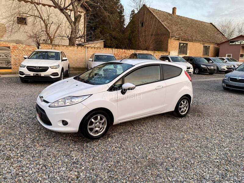 Ford Fiesta (возможна замена)