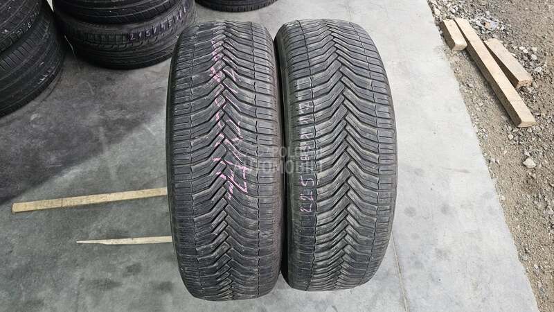 Michelin 225/65 R17 Sve sezone