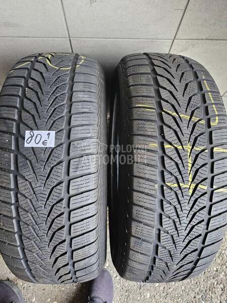 Platin Germany 225/60 R17 Zimska