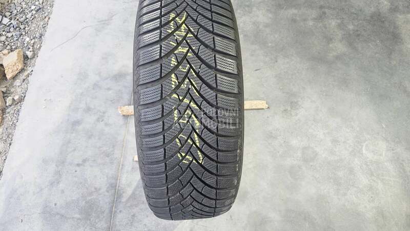 Semperit 225/55 R17 Zimska