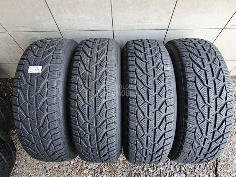 Riken 215/65 R17 Zimska