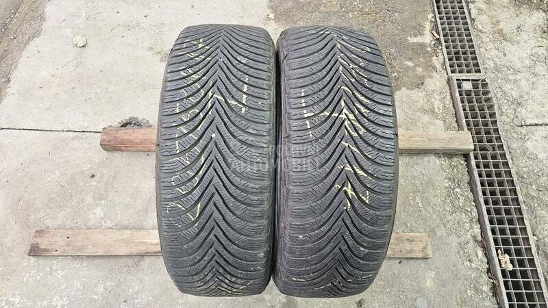 Michelin 205/50 R17 Zimska