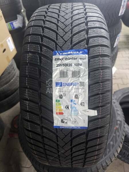 Triangle 255/50 R20 Zimska