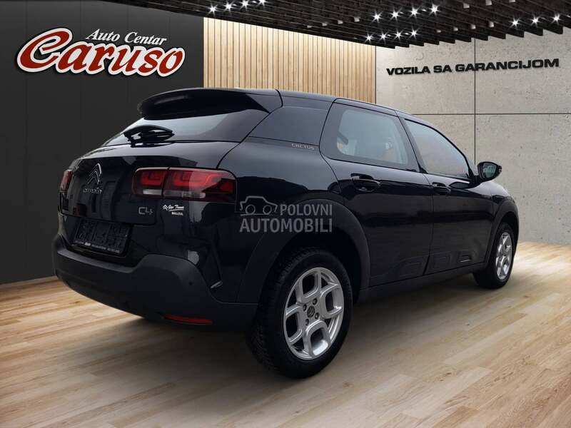 Citroen C4 Cactus 2019 photo 3
