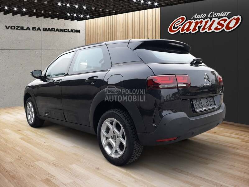 Citroen C4 Cactus 2019 photo 4