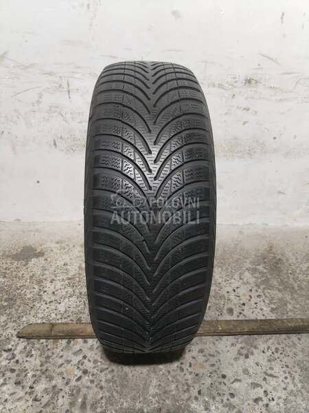 Apollo 195/65 R15 Zimska