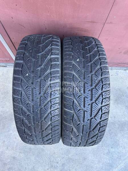 Riken 195/55 R16 Zimska