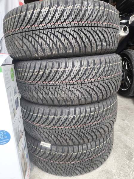 Goodyear 225/45 R17 Sve sezone