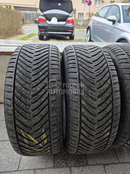 Riken 225/50 R17 Sve sezone