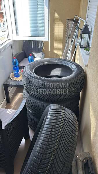 Michelin 275/55 R19 Sve sezone
