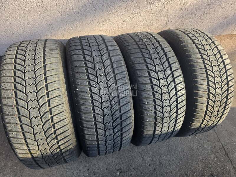 Sava 245/45 R18 Zimska