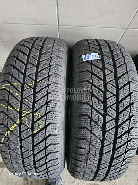 Platin Germany 215/55 R17 Zimska