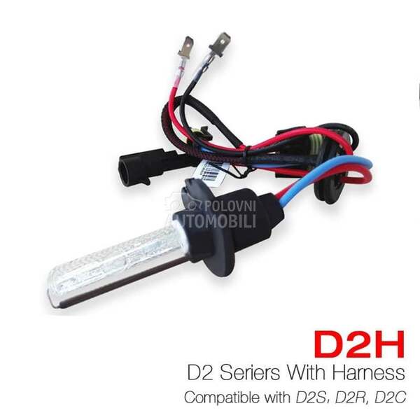 XENON SIJALICA D2H  