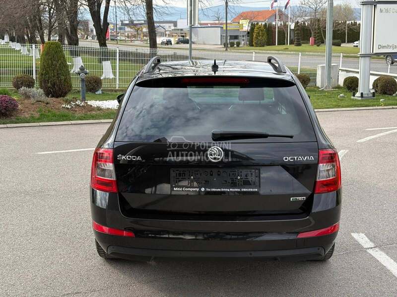 Skoda Octavia 2016 photo 3