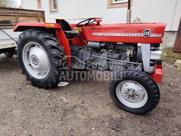 Massey Ferguson 135, 4.900 €, 1979. , Standardni traktori, 33kW (45 KS), 2x2, Topola