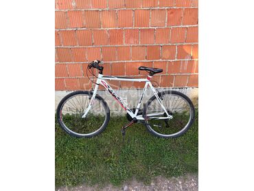 Xplorer Elite Man, 100 €, 2019. , Mountain bike, 19", Brzina: 21, Gvožđe, Bela, Veliki Crljeni