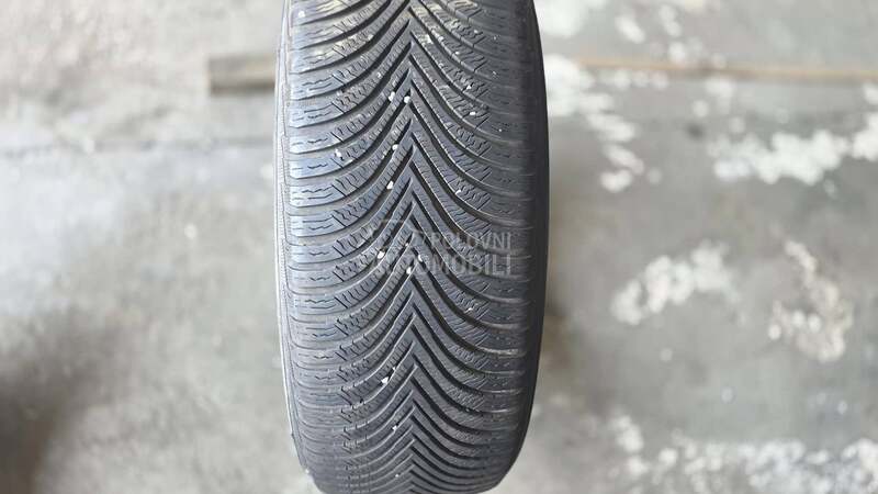Michelin 225/55 R17 Zimska