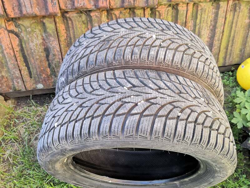 Nankang 185/55 R15 Zimska