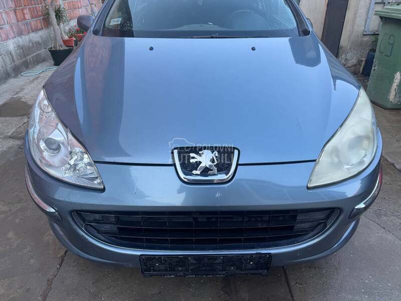 Hauba za Peugeot 407