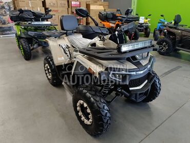 Tao Motor Shark III 200 KREM, 2.200 €, 2026. , 180 cm3, 0 km, 9kW (12 KS), ATV / Quad, Beograd