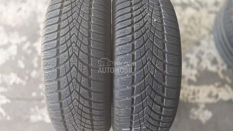 Dunlop 205/55 R16 Zimska