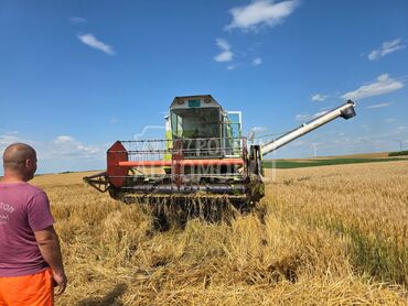 Claas Dominator 68, 18.000 €, 1985. , Standardni kombajn, 100kW (136 KS), Ratarstvo, Vladimirovac