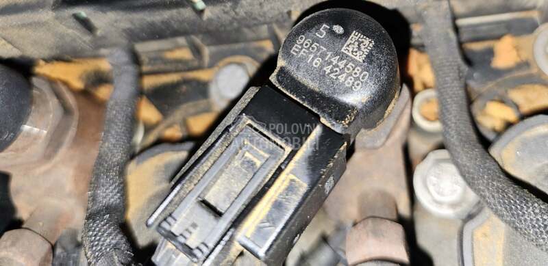 Dizne 2.0 HDI 136 KS SIMENS za Citroen C3 Picasso, C4, C4 Grand Picasso ...