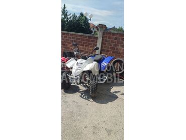 Adly 300, 1.300 €, 2008. , 300 cm3, 2.000 km, 15kW (20 KS), ATV / Quad, Sremska Kamenica