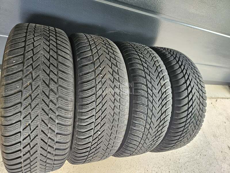 Nokian 205/55 R16 Zimska